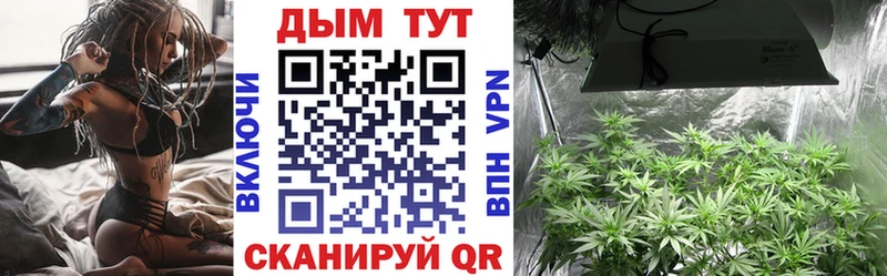 дарнет шоп  Карачев  Шишки марихуана OG Kush 